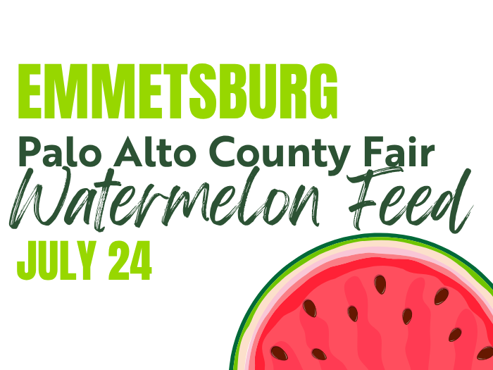 Watermelon Feed